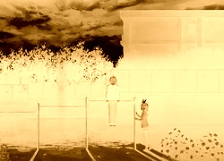 Sepia + Negatyw