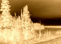 Sepia + Negatyw