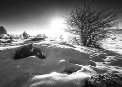 Szary + Sepia