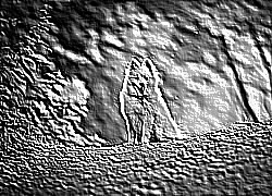 Skamielina