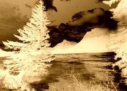 Sepia + Negatyw