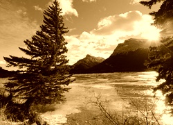 Sepia