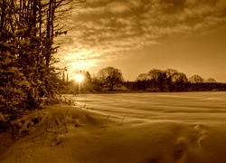 Sepia