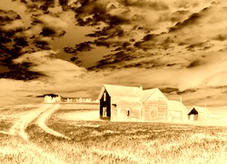 Sepia + Negatyw