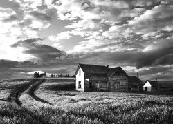 Szary + Sepia