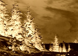 Sepia + Negatyw