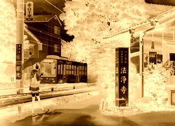 Sepia + Negatyw