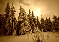 Sepia