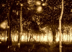 Sepia