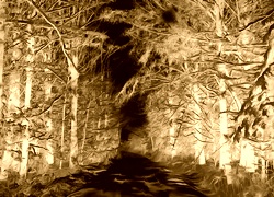 Sepia + Negatyw