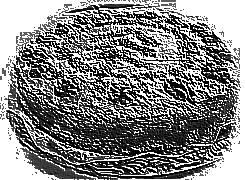 Skamielina