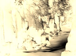 Sepia + Negatyw