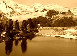 Sepia