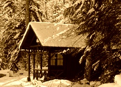 Sepia
