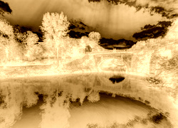 Sepia + Negatyw