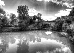 Szary + Sepia