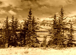 Sepia