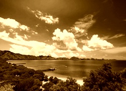 Sepia