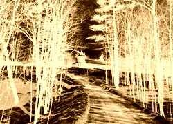 Sepia + Negatyw