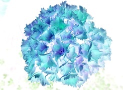 Negatyw