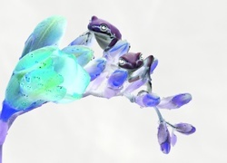 Negatyw