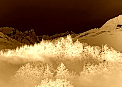 Sepia + Negatyw