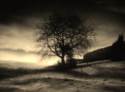 Szary + Sepia