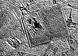 Skamielina