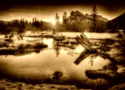 Sepia