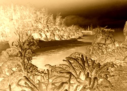 Sepia + Negatyw