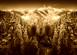 Sepia