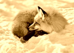 Sepia