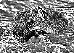 Skamielina