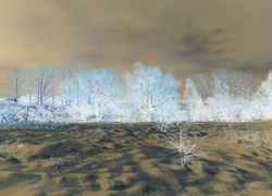 Negatyw