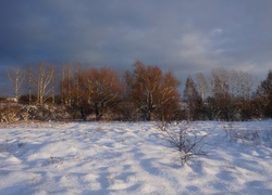 Oryginalny obrazek