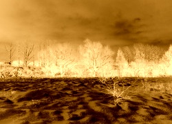 Sepia + Negatyw