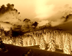 Sepia + Negatyw