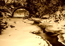 Sepia