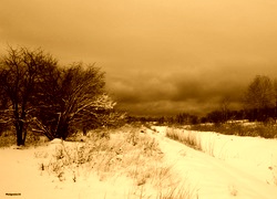 Sepia