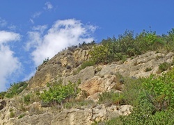 Oryginalny obrazek