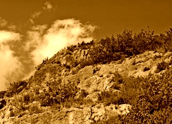 Sepia