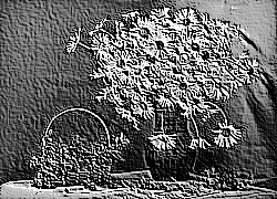 Skamielina