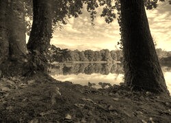 Sepia