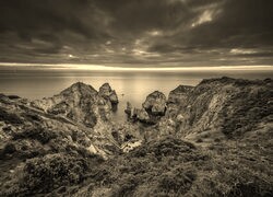 Szary + Sepia
