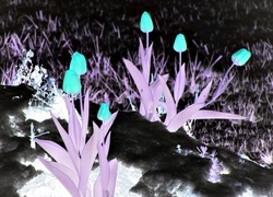 Negatyw