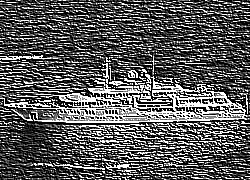 Skamielina