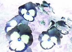 Negatyw