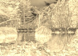 Sepia + Negatyw