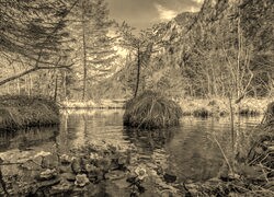 Szary + Sepia