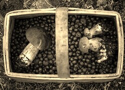 Szary + Sepia